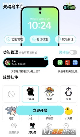 灵动皮肤小组件截图1