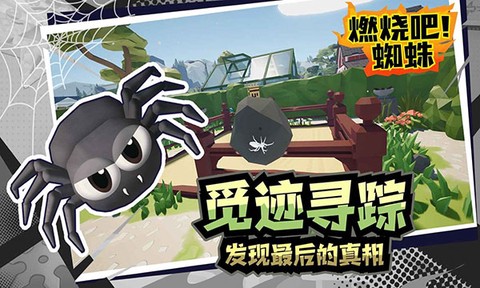 燃烧吧!蜘蛛截图2