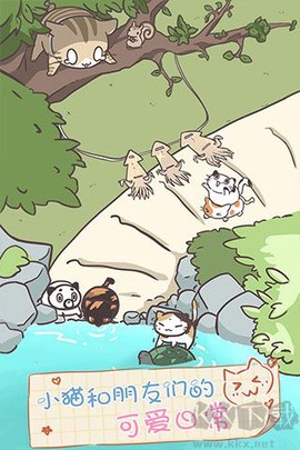 猫咪饲养日常[图1]