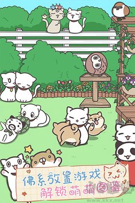 猫咪饲养日常[图3]