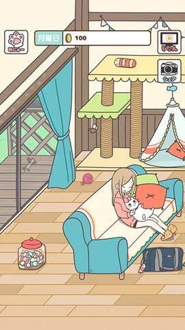 猫咪饲养日常截图2