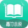 青竹小说