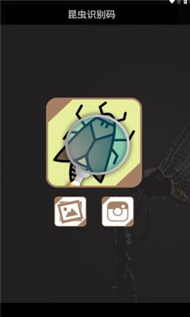 昆虫识别码截图1