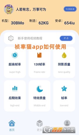 祯率猫图1