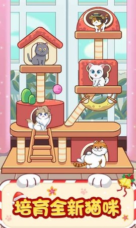 猫咪房东[图3]