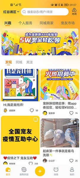 宠胖胖[图1]