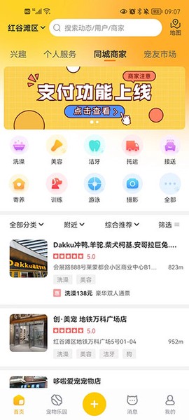 宠胖胖[图3]
