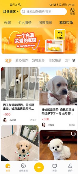 宠胖胖[图4]
