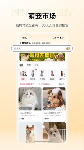 宠胖胖图3