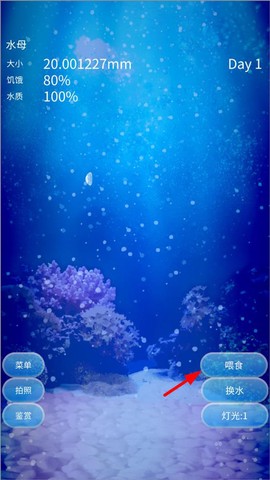 养育水母的治愈游戏[图1]