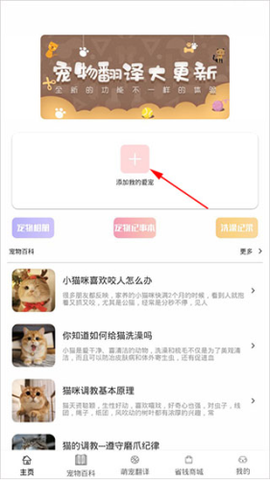 宠物猫狗交流[图1]