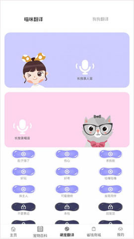 宠物猫狗交流[图4]