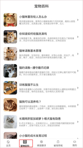宠物猫狗交流图3