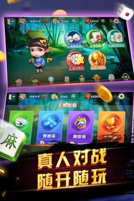 申城麻将截图1