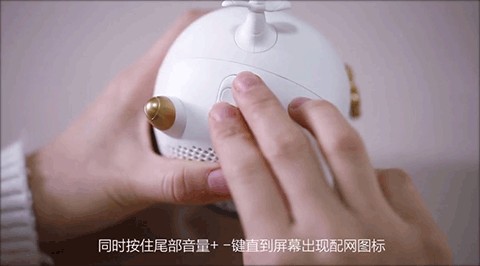 猪小飞截图3