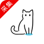 猫影视