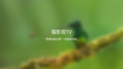 猫影视截图2