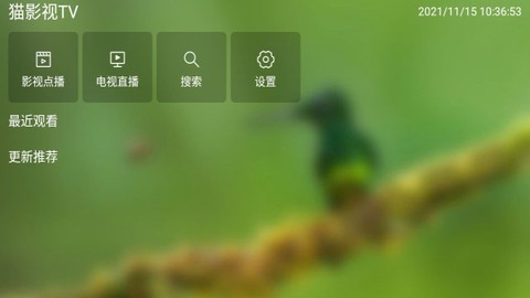 猫影视截图3