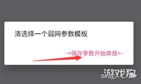 金砖弱网辅助器截图2