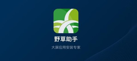 野草助手追剧[图1]