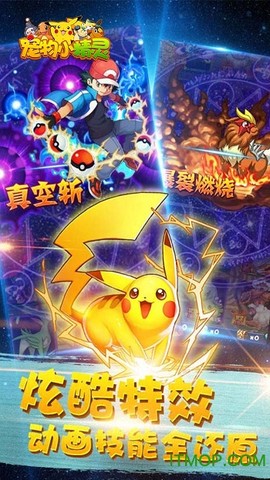 宠物小精灵XY[图1]