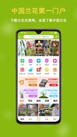 兰花交易网截图1