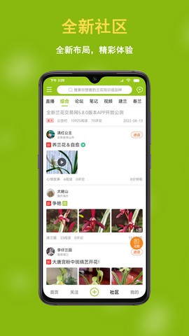 兰花交易网截图2