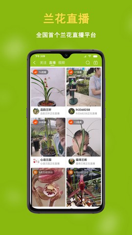 兰花交易网截图3