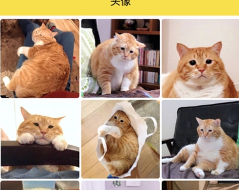 斗图表情工厂[图1]