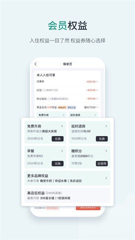 东呈青猫会截图3