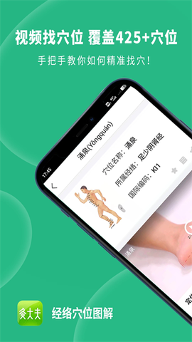 经络穴位图解截图3