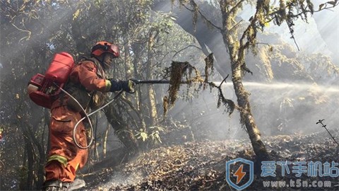 卫星遥感林火监测平台[图1]