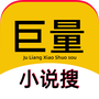 巨量小说搜