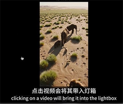 sora纯净版[图6]