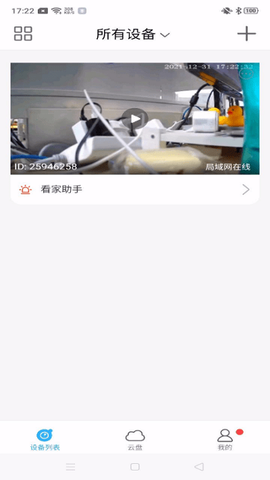 北境精灵[图1]