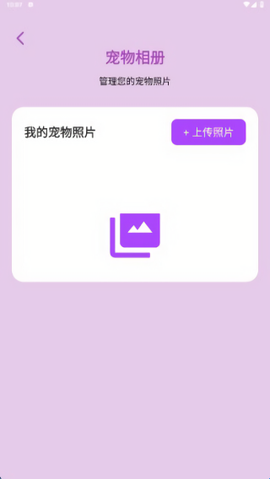 猫狗翻译官[图3]