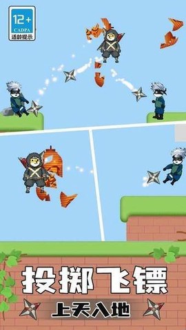 忍者追击[图2]