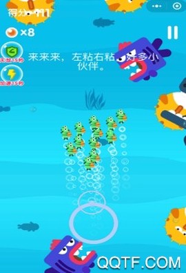 小青鱼旅行[图4]