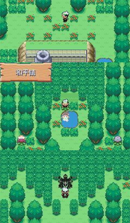 口袋妖怪：永恒之沫[图10]
