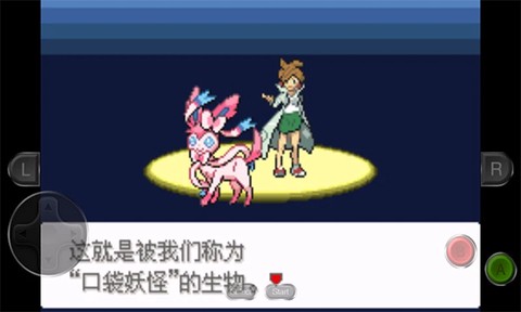口袋妖怪：永恒之沫截图1