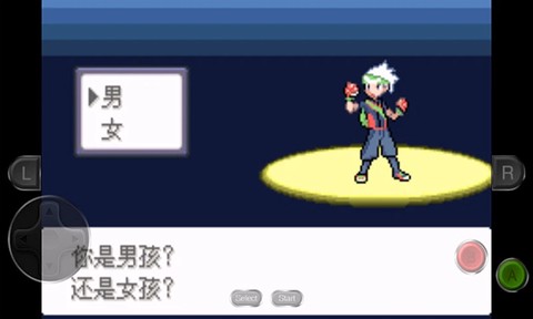 口袋妖怪：永恒之沫截图2