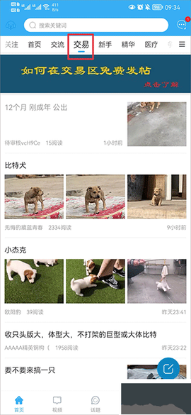 猛犬俱乐部[图1]