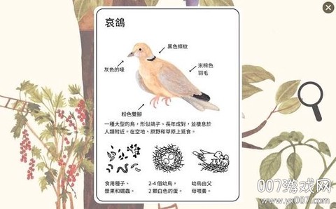 小棕鼠百科[图1]