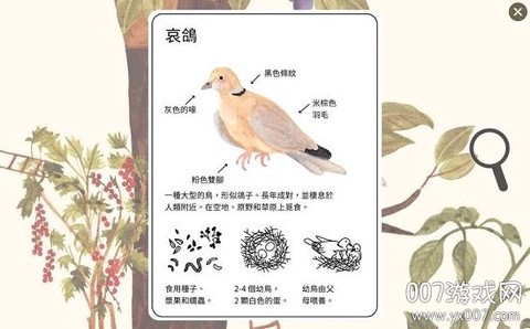 小棕鼠百科截图1