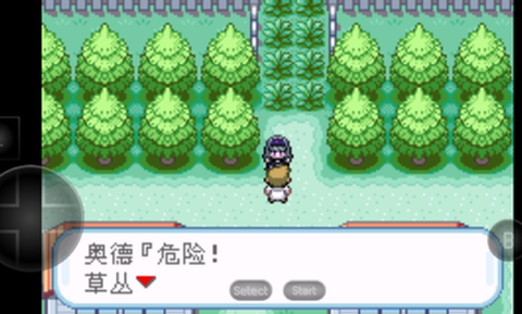 口袋妖怪火红萌版截图1
