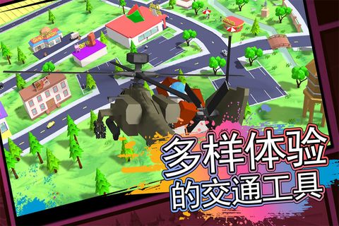 真实空中飞机截图2