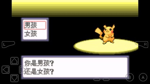 口袋妖怪：命运红宝石2截图3