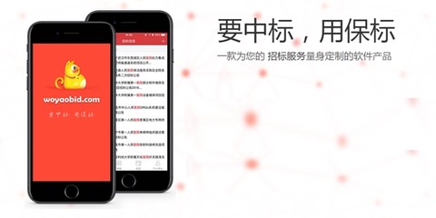 保标招标网[图1]