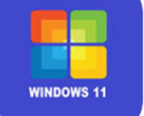 Win11模拟器截图1