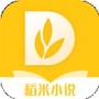 稻米小说